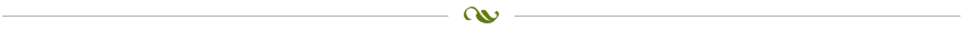linie-blatt